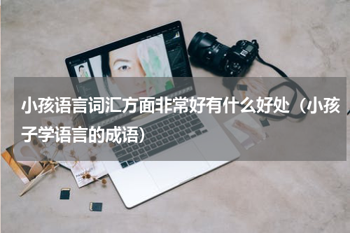 小孩语言词汇方面非常好有什么好处（小孩子学语言的成语）