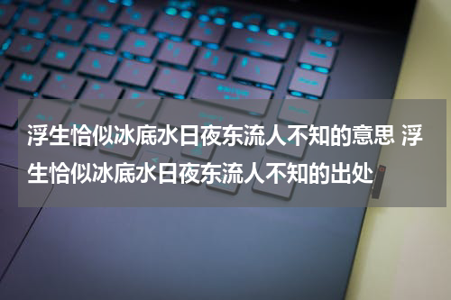 浮生恰似冰底水日夜东流人不知的意思 浮生恰似冰底水日夜东流人不知的出处
