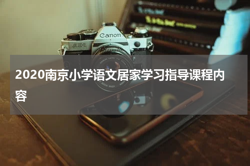 2020南京小学语文居家学习指导课程内容