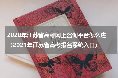 2020年江苏省高考网上咨询平台怎么进（2021年江苏省高考报名系统入口）