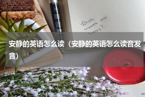 安静的英语怎么读（安静的英语怎么读音发音）