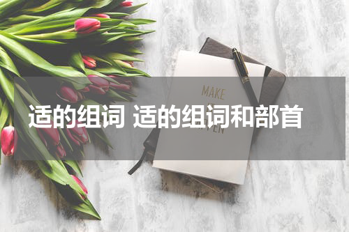 适的组词 适的组词和部首