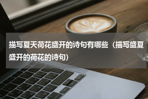 描写夏天荷花盛开的诗句有哪些（描写盛夏盛开的荷花的诗句）