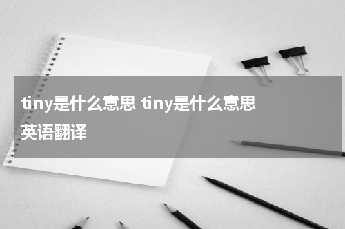 tiny是什么意思 tiny是什么意思英语翻译