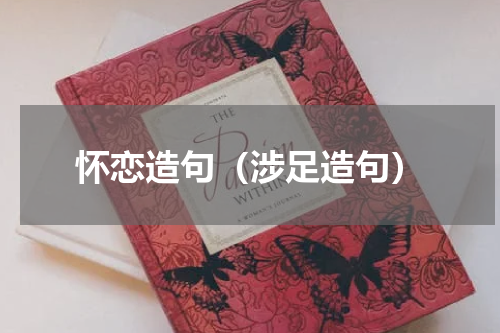 怀恋造句（涉足造句）