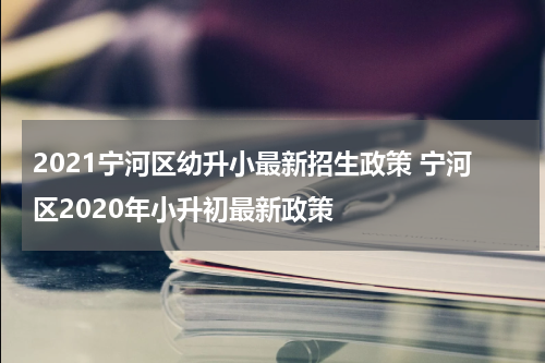 2021宁河区幼升小最新招生政策 宁河区2020年小升初最新政策