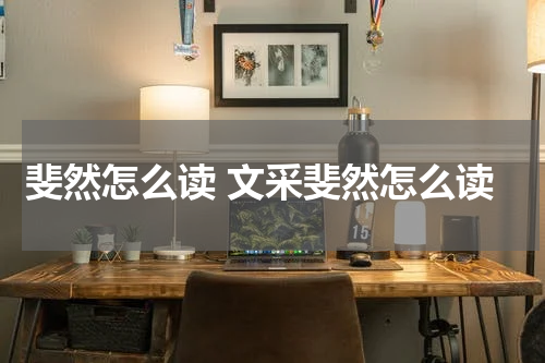 斐然怎么读 文采斐然怎么读