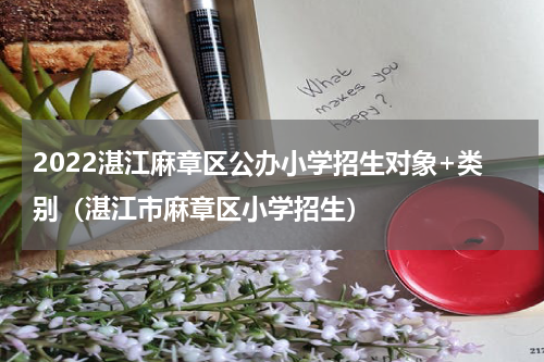 2022湛江麻章区公办小学招生对象+类别(湛江市麻章区小学招生)