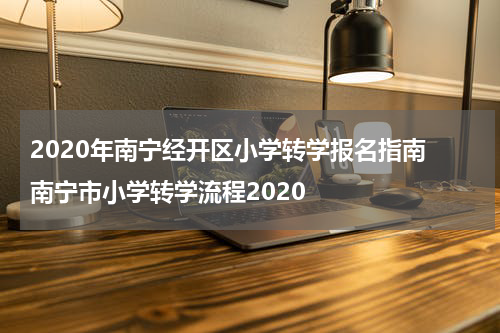 2020年南宁经开区小学转学报名指南 南宁市小学转学流程2020