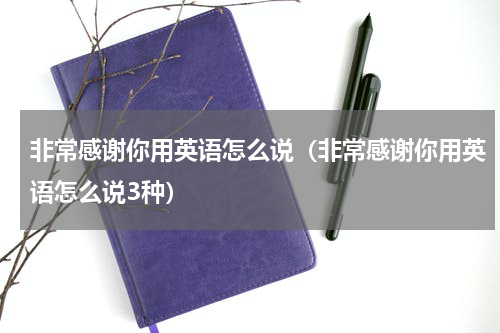 非常感谢你用英语怎么说（非常感谢你用英语怎么说3种）