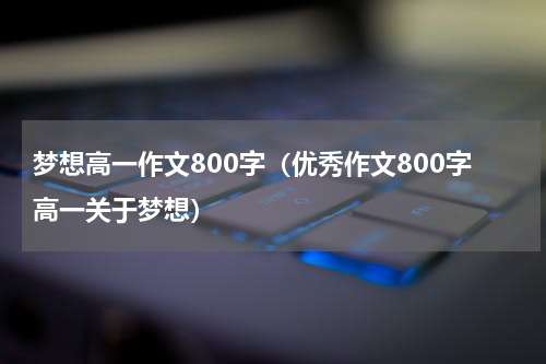 梦想高一作文800字(优秀作文800字高一关于梦想)