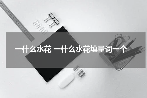 一什么水花 一什么水花填量词一个