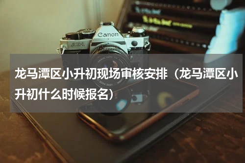 龙马潭区小升初现场审核安排（龙马潭区小升初什么时候报名）