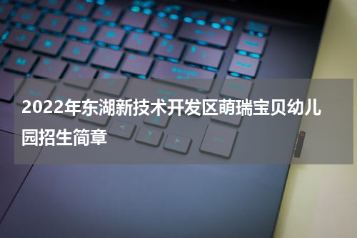 2022年东湖新技术开发区萌瑞宝贝幼儿园招生简章