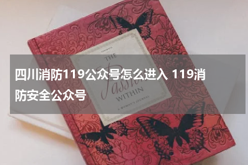 四川消防119公众号怎么进入 119消防安全公众号