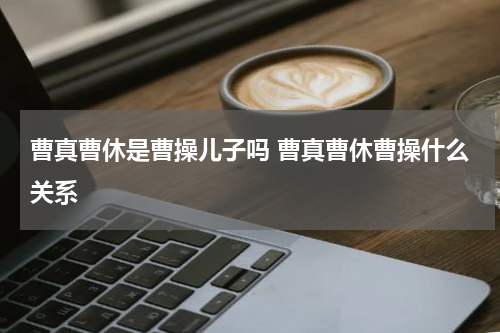 曹真曹休是曹操儿子吗 曹真曹休曹操什么关系