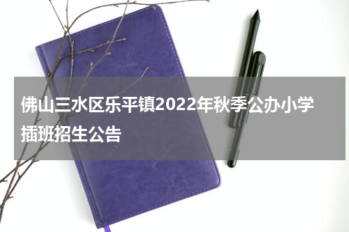 佛山三水区乐平镇2022年秋季公办小学插班招生公告