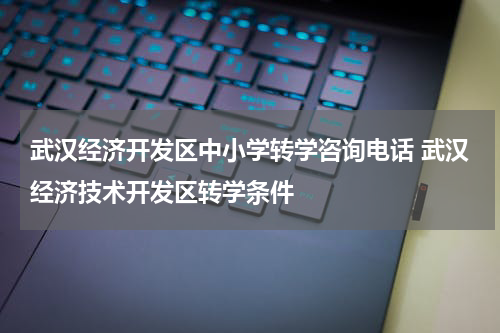 武汉经济开发区中小学转学咨询电话 武汉经济技术开发区转学条件