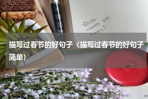 描写过春节的好句子(描写过春节的好句子简单)