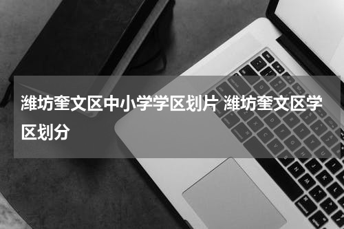 潍坊奎文区中小学学区划片 潍坊奎文区学区划分