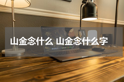 山金念什么 山金念什么字