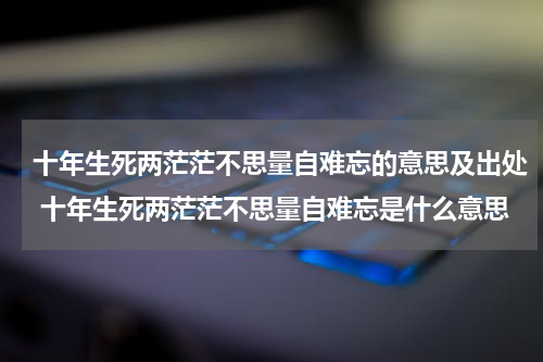 十年生死两茫茫不思量自难忘的意思及出处 十年生死两茫茫不思量自难忘是什么意思