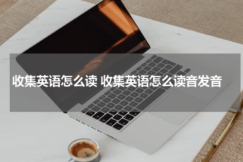 收集英语怎么读 收集英语怎么读音发音