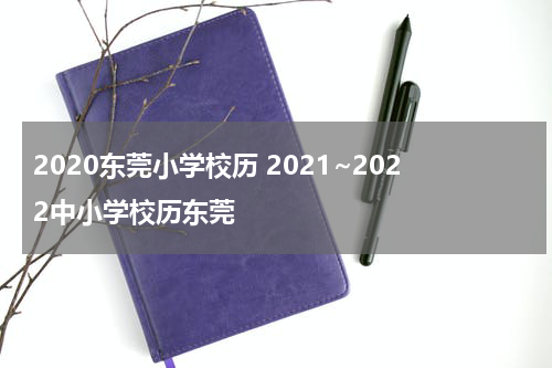 2020东莞小学校历 2021~2022中小学校历东莞