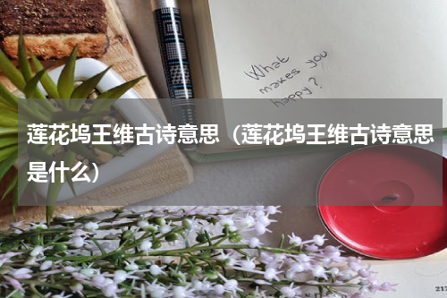 莲花坞王维古诗意思(莲花坞王维古诗意思是什么)