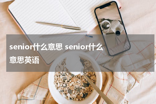 senior什么意思 senior什么意思英语