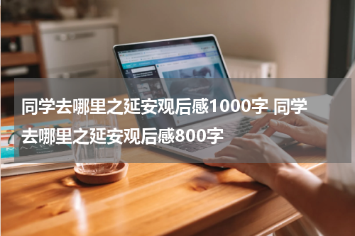 同学去哪里之延安观后感1000字 同学去哪里之延安观后感800字