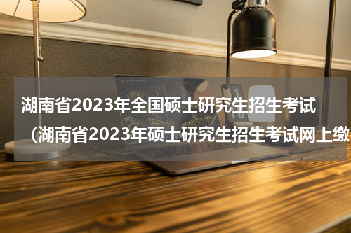 湖南省2023年全国硕士研究生招生考试(湖南省2023年硕士研究生招生考试网上缴费公告)
