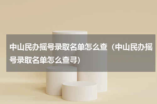 中山民办摇号录取名单怎么查（中山民办摇号录取名单怎么查寻）