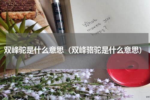 双峰驼是什么意思（双峰骆驼是什么意思）