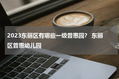 2023东丽区有哪些一级普惠园? 东丽区普惠幼儿园