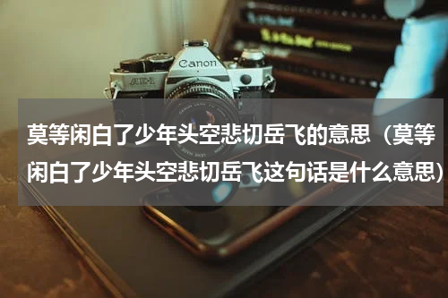 莫等闲白了少年头空悲切岳飞的意思（莫等闲白了少年头空悲切岳飞这句话是什么意思）