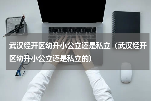 武汉经开区幼升小公立还是私立(武汉经开区幼升小公立还是私立的)