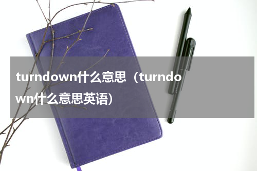turndown什么意思(turndown什么意思英语)