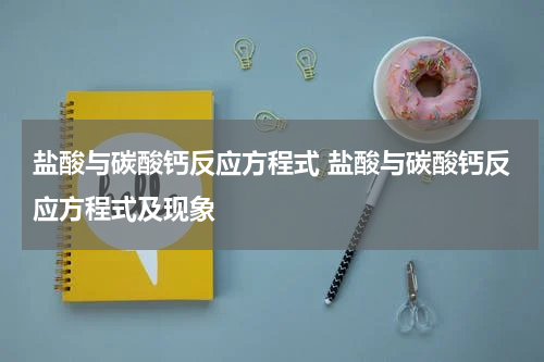 盐酸与碳酸钙反应方程式 盐酸与碳酸钙反应方程式及现象