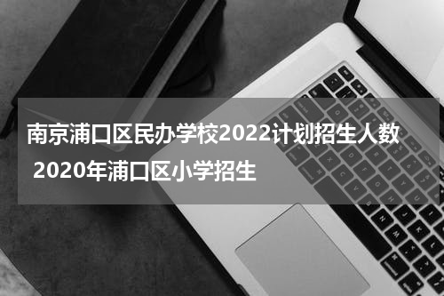 南京浦口区民办学校2022计划招生人数 2020年浦口区小学招生