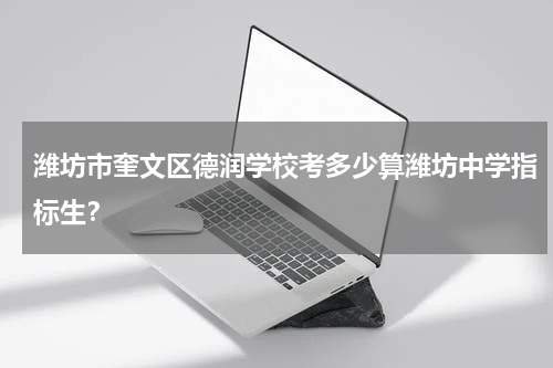 潍坊市奎文区德润学校考多少算潍坊中学指标生？