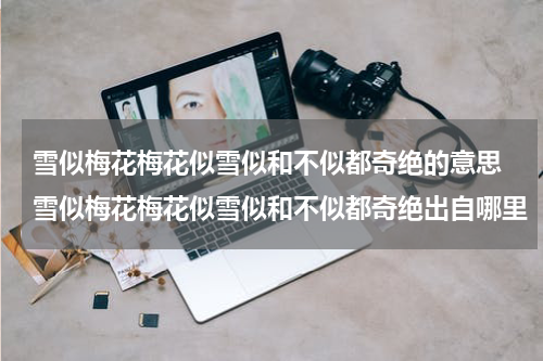 雪似梅花梅花似雪似和不似都奇绝的意思 雪似梅花梅花似雪似和不似都奇绝出自哪里