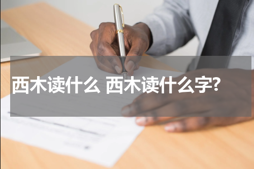 西木读什么 西木读什么字?