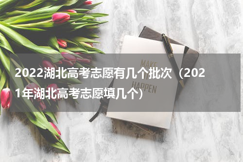 2022湖北高考志愿有几个批次（2021年湖北高考志愿填几个）