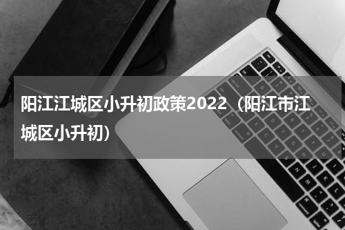 阳江江城区小升初政策2022（阳江市江城区小升初）
