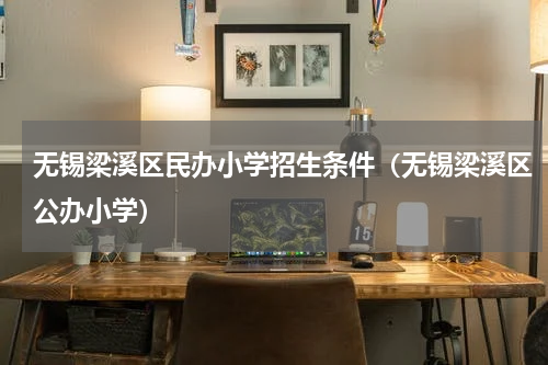 无锡梁溪区民办小学招生条件（无锡梁溪区公办小学）