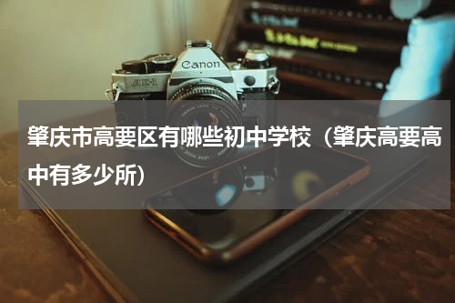 肇庆市高要区有哪些初中学校（肇庆高要高中有多少所）