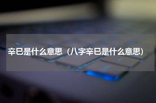 辛巳是什么意思（八字辛巳是什么意思）