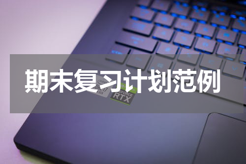 期末复习计划范例