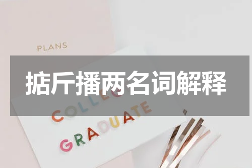 掂斤播两名词解释